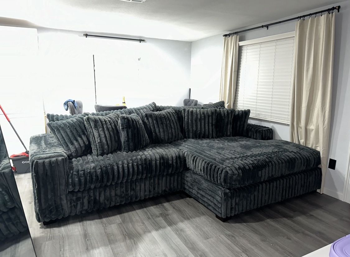 Brand New Couches 