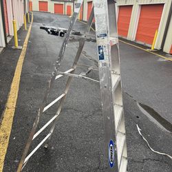 Werner 6 ft. Aluminum Step Ladder (10 ft. Reach Height) with 300 lb. Load Capacity Type IA Duty