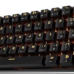 RK ROYAL KLUDGE RK61 Wireless 60% Triple Mode Mechanical Keyboard, 61 Keys Bluetooth Mechanical Keyboard, Compact Gaming Keyboard with Programmable So