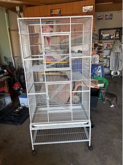 Large bird cage