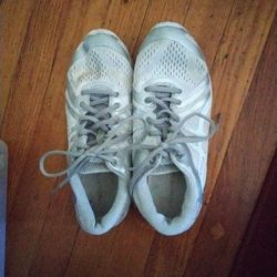 Tenis Shoes 