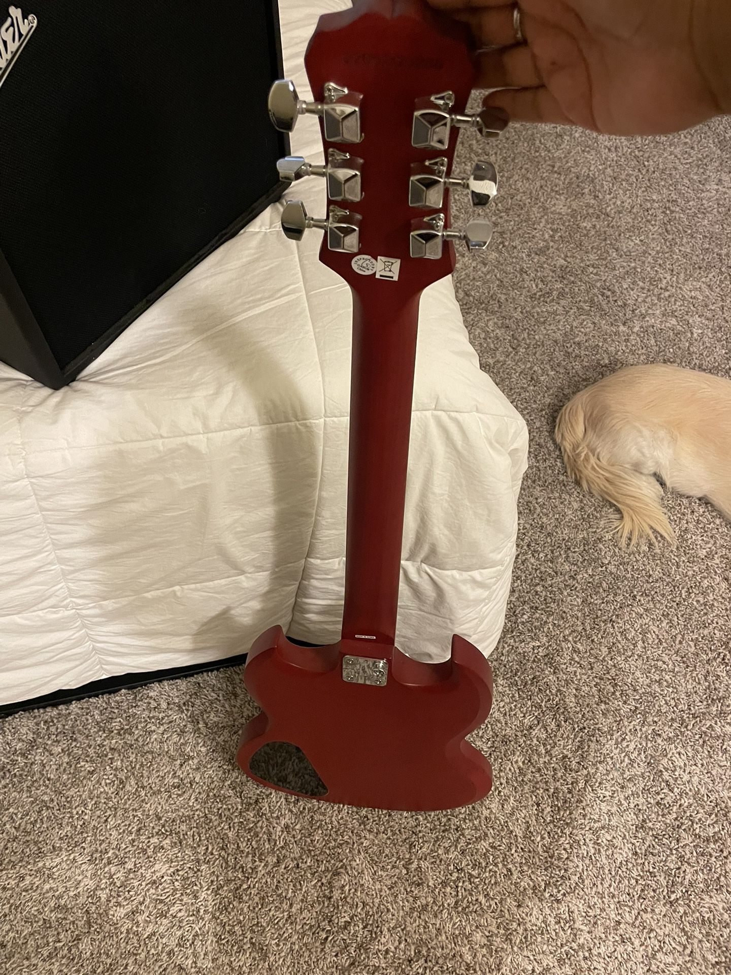 New Guitar + Amp
