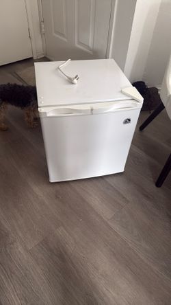 Mini Freezer