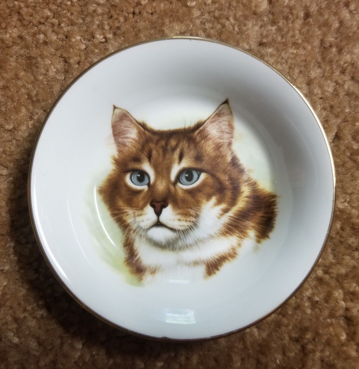 5 1/4" Cat plate with gold rim. Bone china. Made in England.