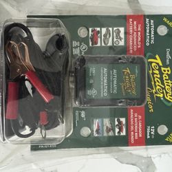 Battery Charger 