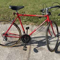 Murray 10 speed bike