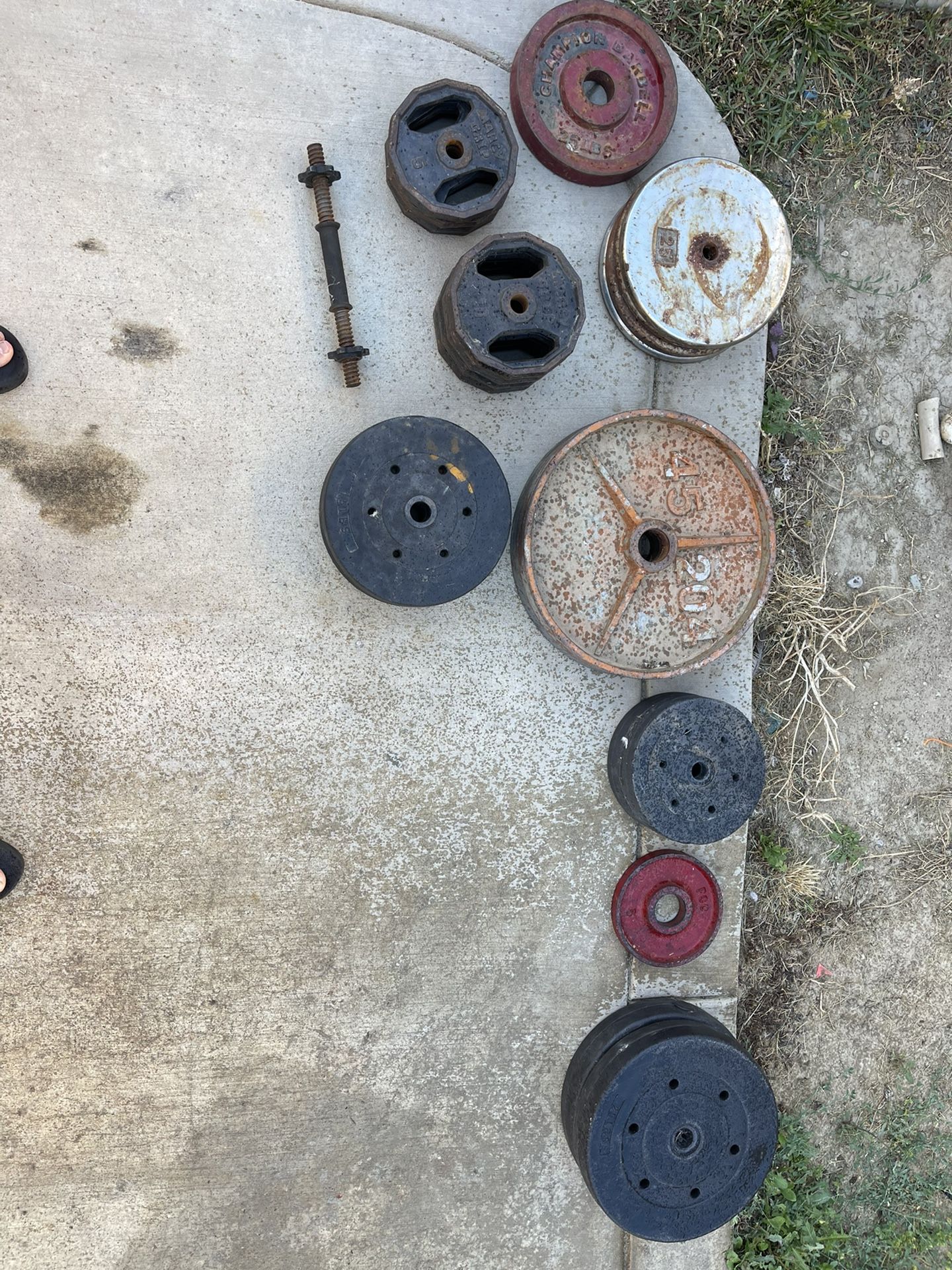 Weights And Weight Bench
