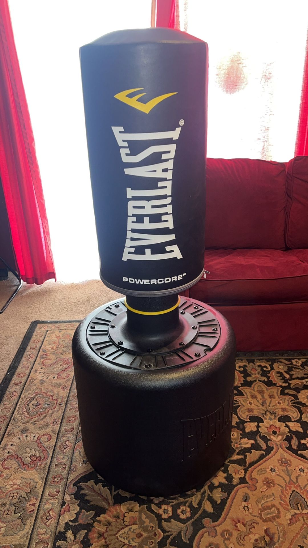 Everlast Power Core Punching Bag