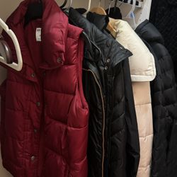 Winter Jackets 