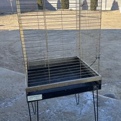 Bird Cage