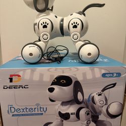 Robot