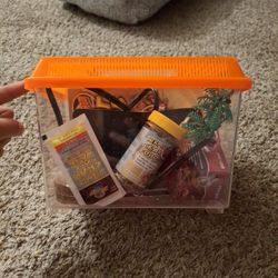 Starter Hermit Crab Cage