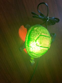Green turtle