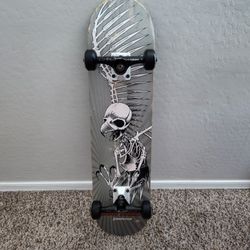 Skateboard Tony Hawk Birdhouse 