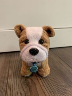 American Girl Dog Meatloaf