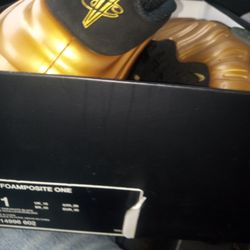 Nike Air Foamposite One