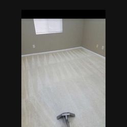 Carpet