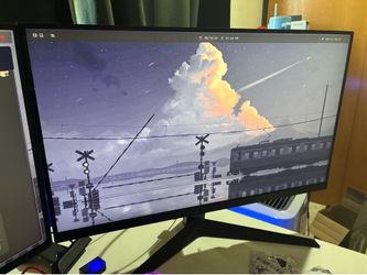 LG 24GQ50F-B 25” 165hz Monitor