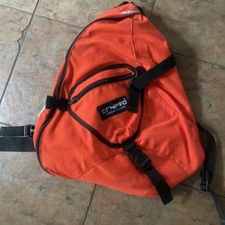 Crypto Brooklyn Messenger Bag/ Backpack 