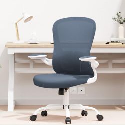 Office Chair Breathable Mesh Lumbar Support Computer Chair with Flip-up Arms and Adjustable Height