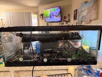 30 gallon Fish tank