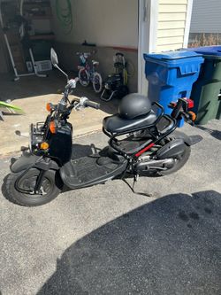 Honda Ruckus