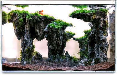 10 Gallon Rimless Glass Fish Tank w/ Filtration, Lights, Decoration and Stand (Fishes NOT included) $150 ONLY