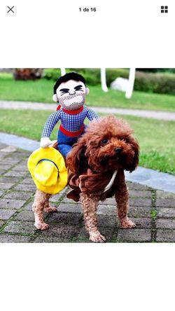 Halloween costume 🎃