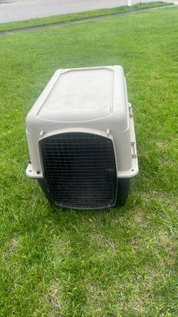 Dog Kennel
