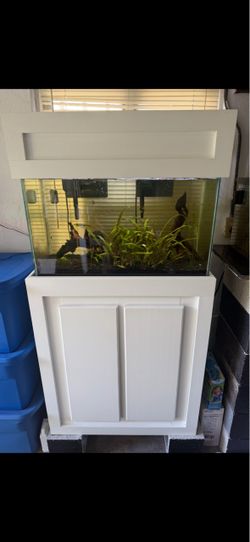 Fish tank