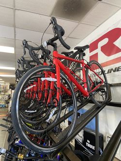fuji sportif all sizes