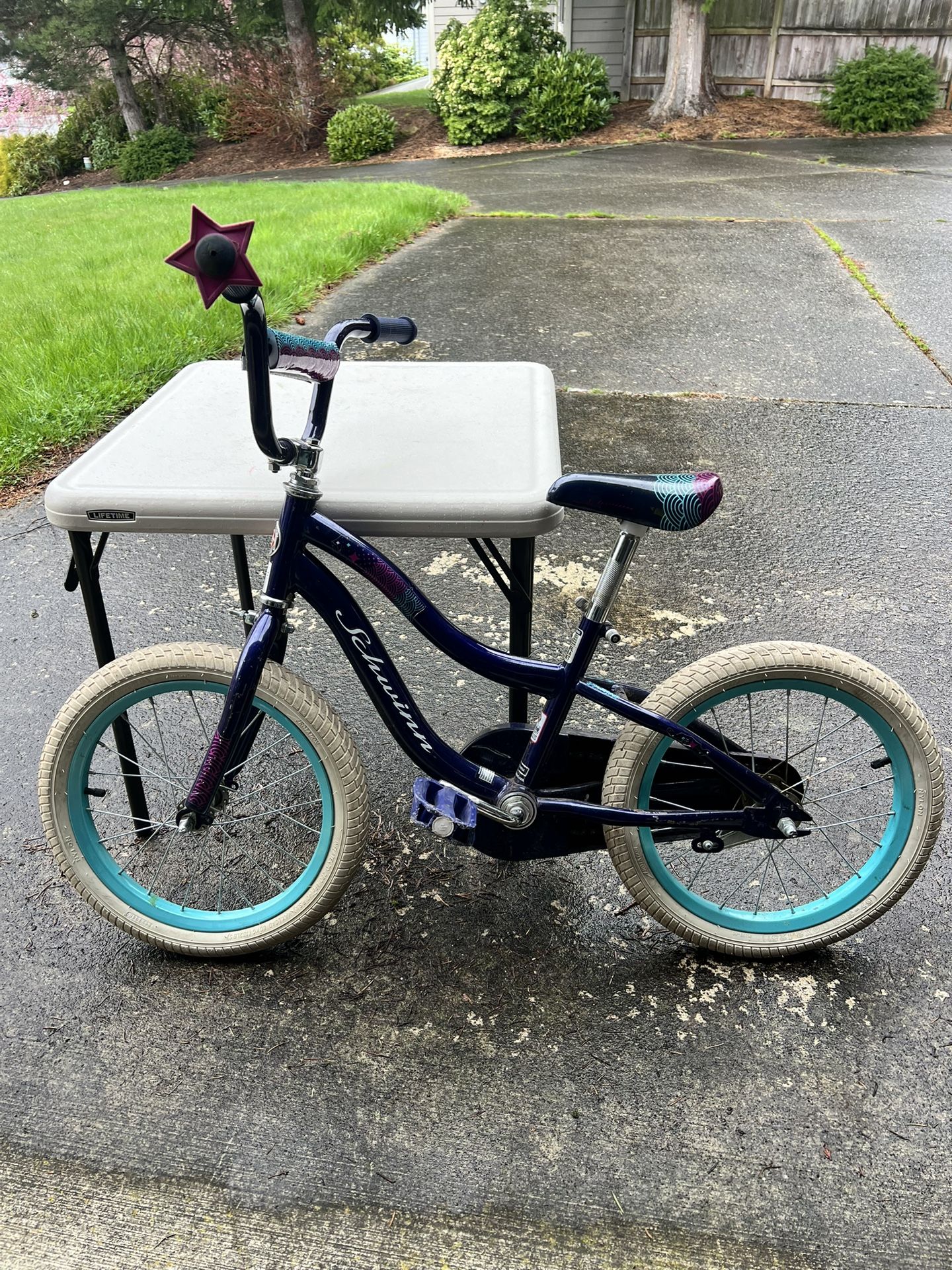 Girls Schwinn Bike