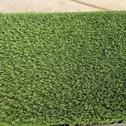 Puppy Training Pad