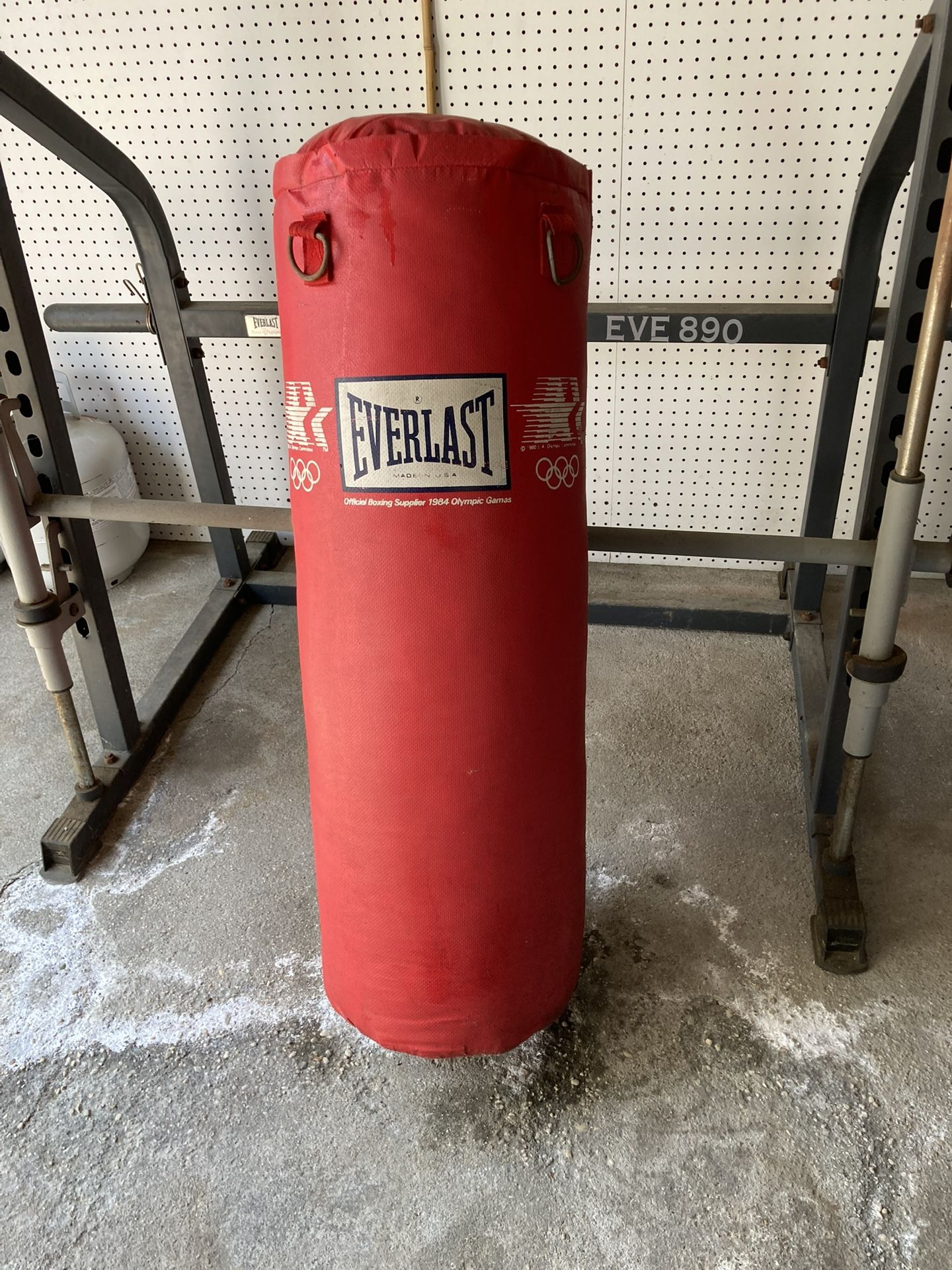 Everlast Punching Bag