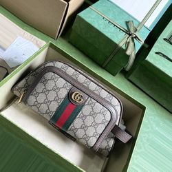 Gucci Ophidia Bag 34