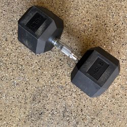 45 Lb Dumbbell Single 