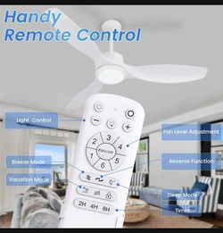 Ceiling fan