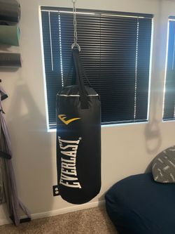 Everlast punching bag
