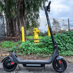 Electric Scooter