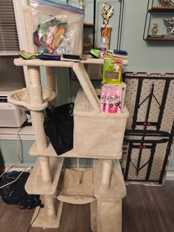 Cat Essentials