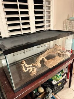 Reptile Tank