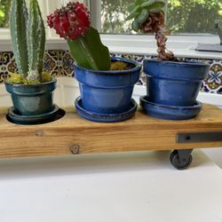 Plant holders that roll. 2/$100 or 1/$60. Excellent condition. Pickup or delivery. Includes plants. 