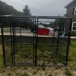 Kennel 