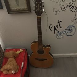 Electric Acoustic 