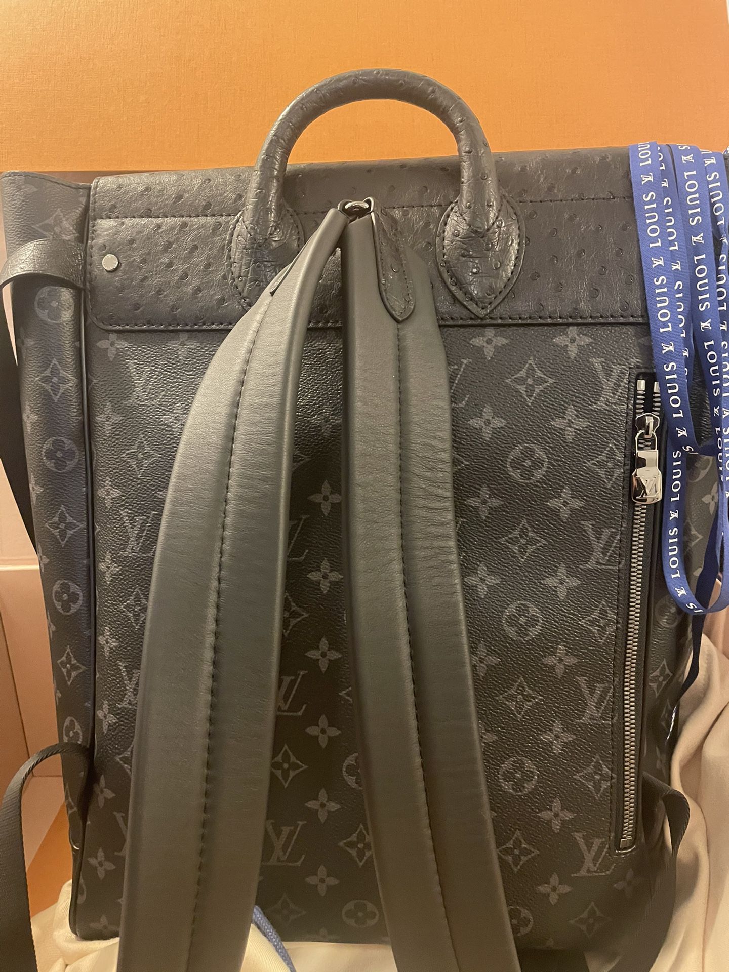 Louis Vuitton LV Men's backpack - $200 OBO - clothing