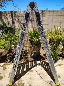 22ft Gorilla Ladder | Escalera