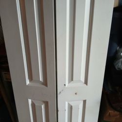 Foldable Closet Or Room Door 