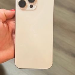 Titanium  iPhone 16 Pro Max 256 GB 