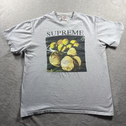 Y2K Supreme Still Life Tee Men’s Medium Gray T Shirt Made In USA #503