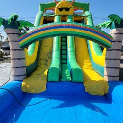 18' Dual Lane Waterslide Inflatable